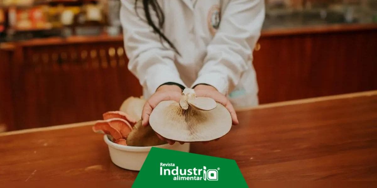 El renacer de los hongos: ¿el alimento del futuro? Revista Industria Alimentaria